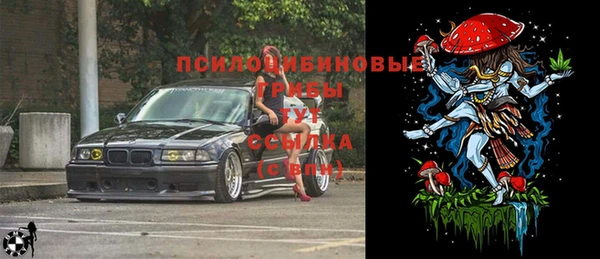 СК Магадан