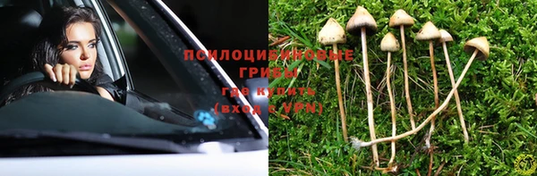 СК Магадан