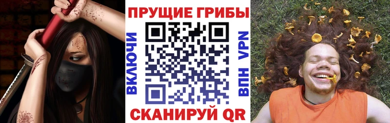 Псилоцибиновые грибы ЛСД  Купить закладки  Комсомольск 